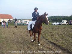 Bükkalja díjugrató kupa (B3-as veryeny) győztese, Sáringer F : Horse Photo
